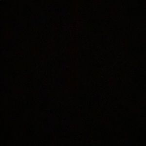 Meet your Posher, Nikita